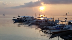 A new day begins