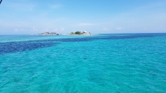 How many shades of blue?