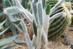 20180604_113859