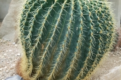 20180604_113952