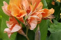20180604_120114