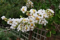 20180604_120315